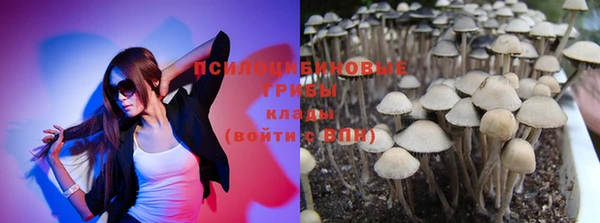 spice Снежногорск