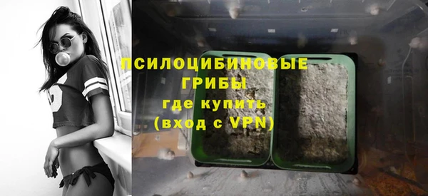каннабис Грязовец